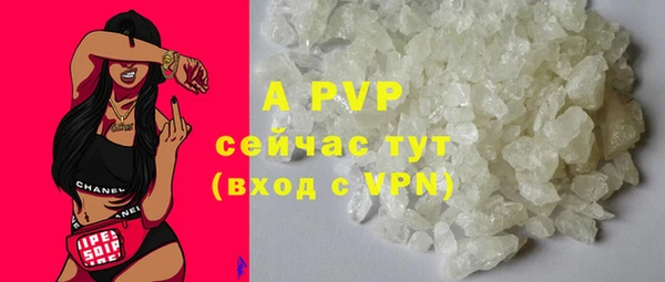 стаф Абинск