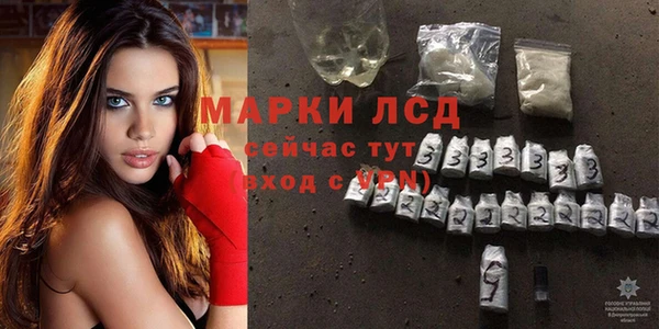 стаф Абинск