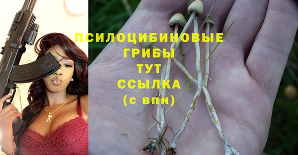 стаф Абинск