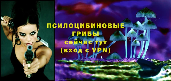 прущие крисы Абаза